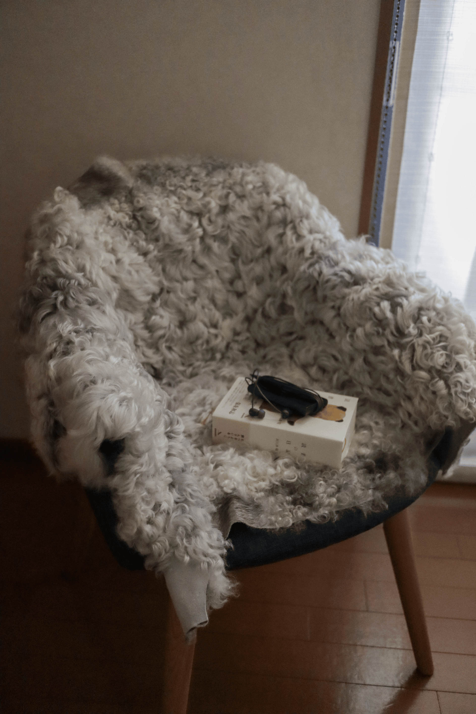 念願叶って、この度ラグを購入しました。