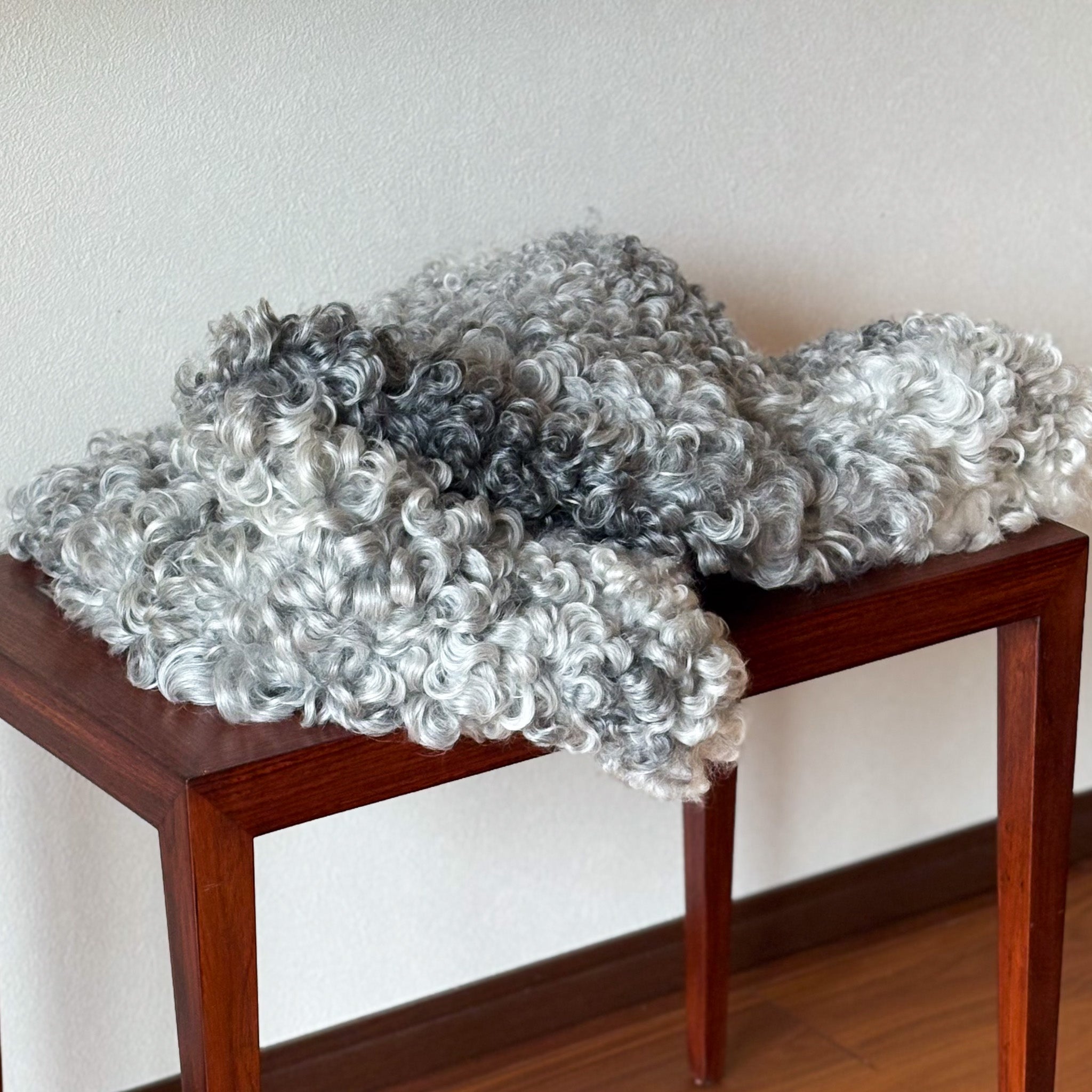 ラグ リミテッドクラス