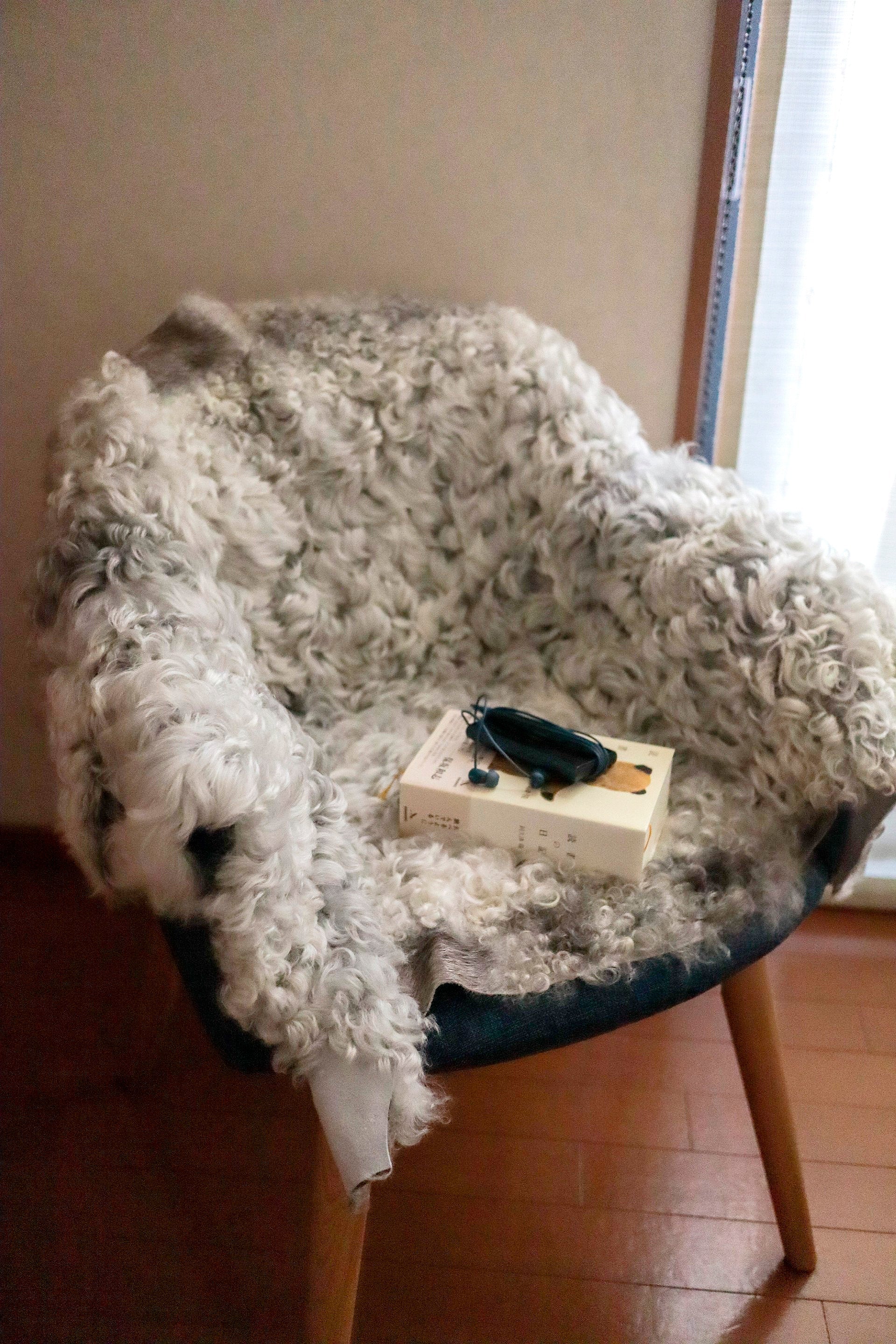 念願叶って、この度ラグを購入しました。