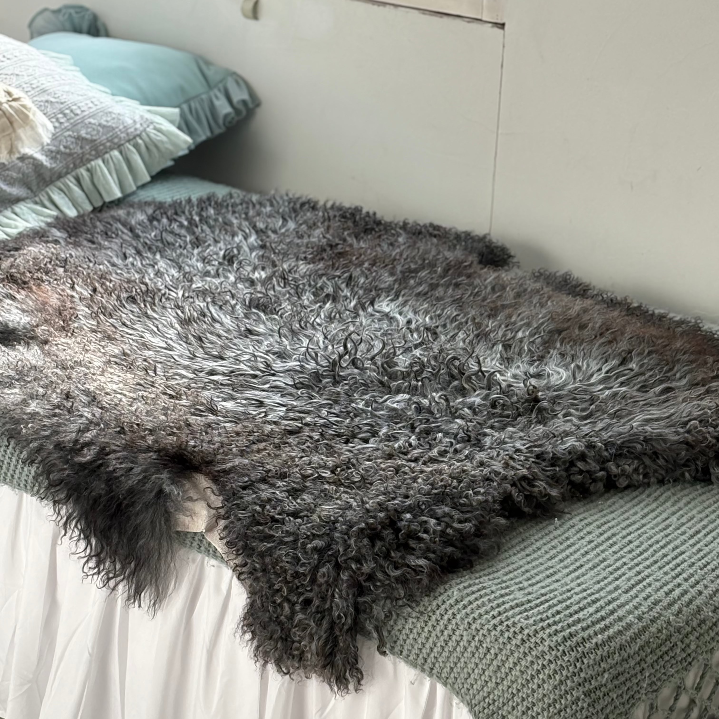 ラグ ロング リミテッドクラス