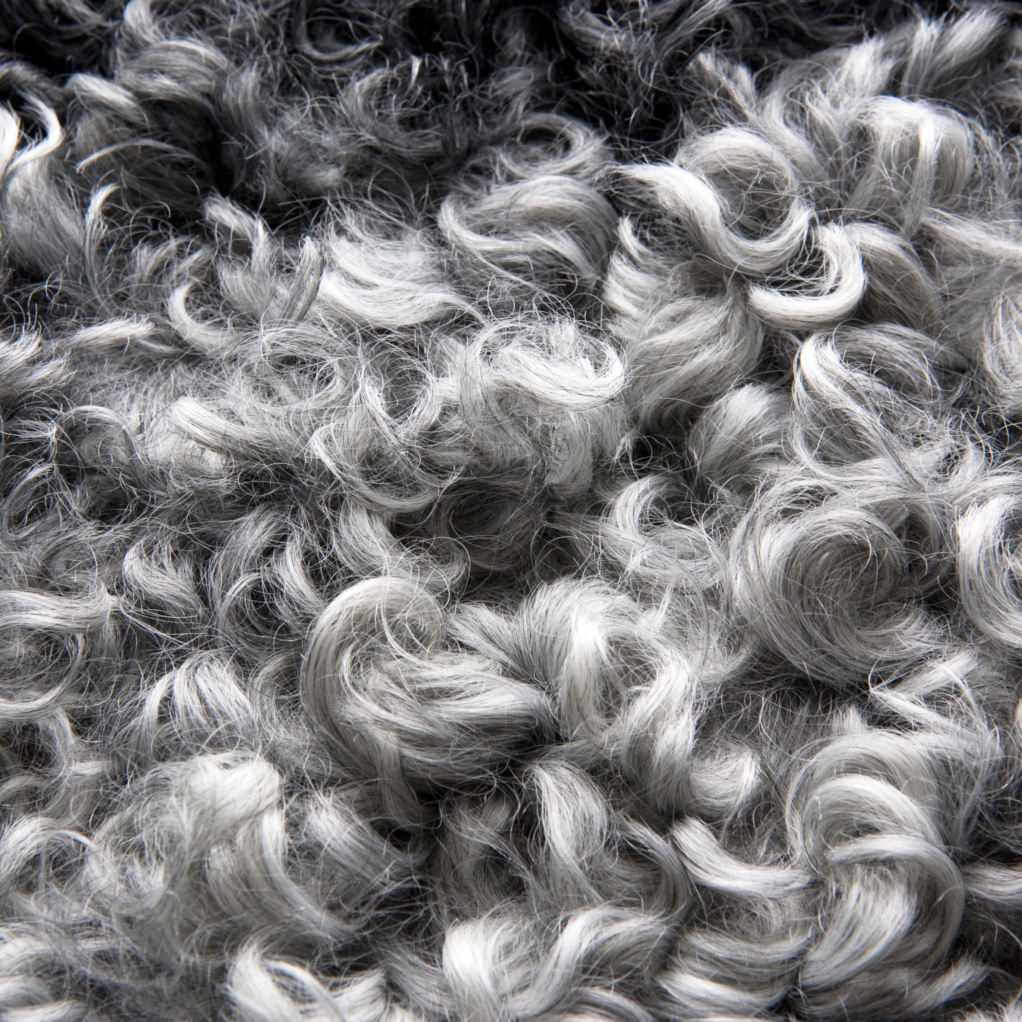 ラグ プレミアム