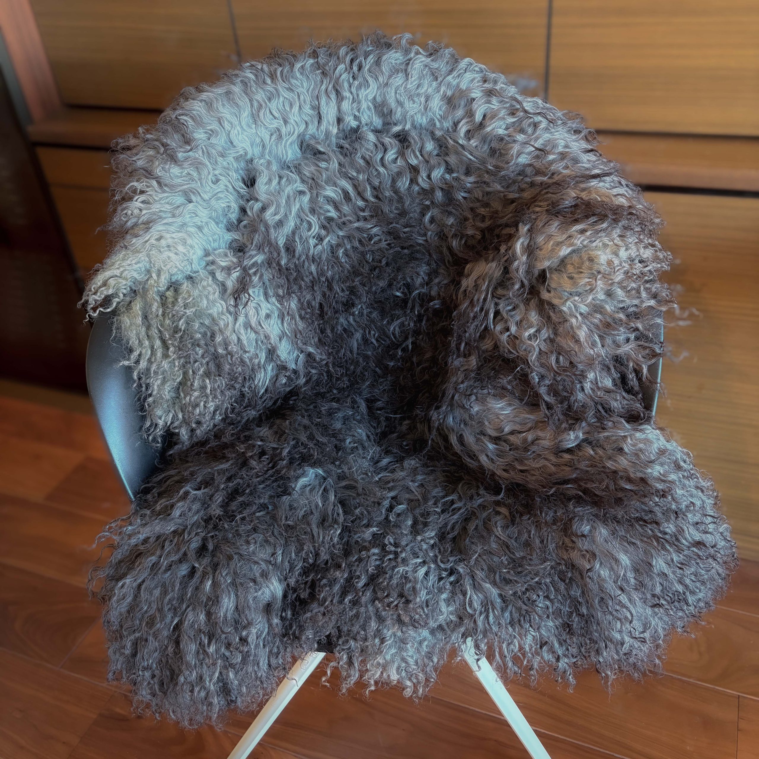 ラグ  ロング Limited 756